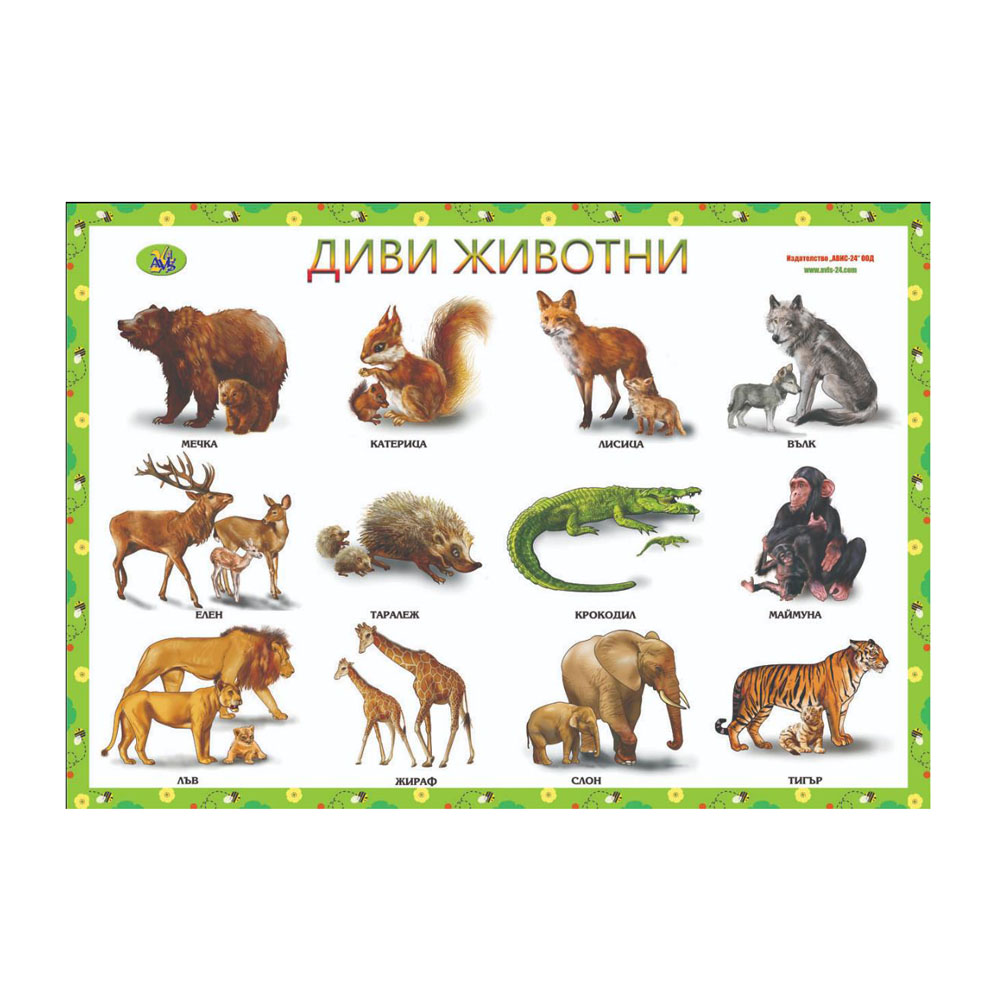 Ученически табла двустранни
